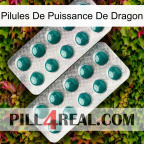 Dragon Power Pills dapoxetine2